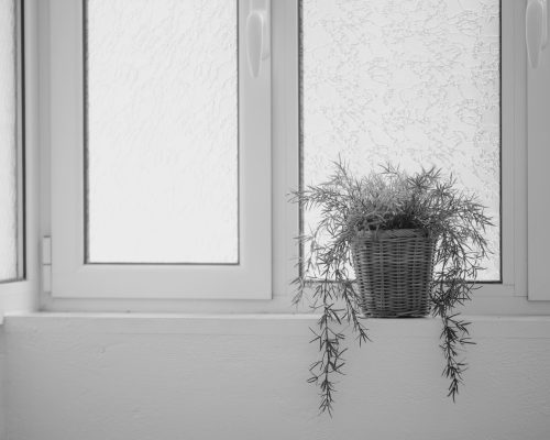 ODY_7505